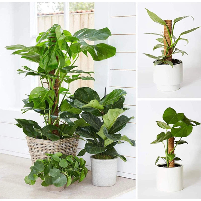 30/40/50cm Plant Climbing Coir Totem Pole Safe Gardening Coconut Stick For Climbing Plants Vines And Creepers Plant Support