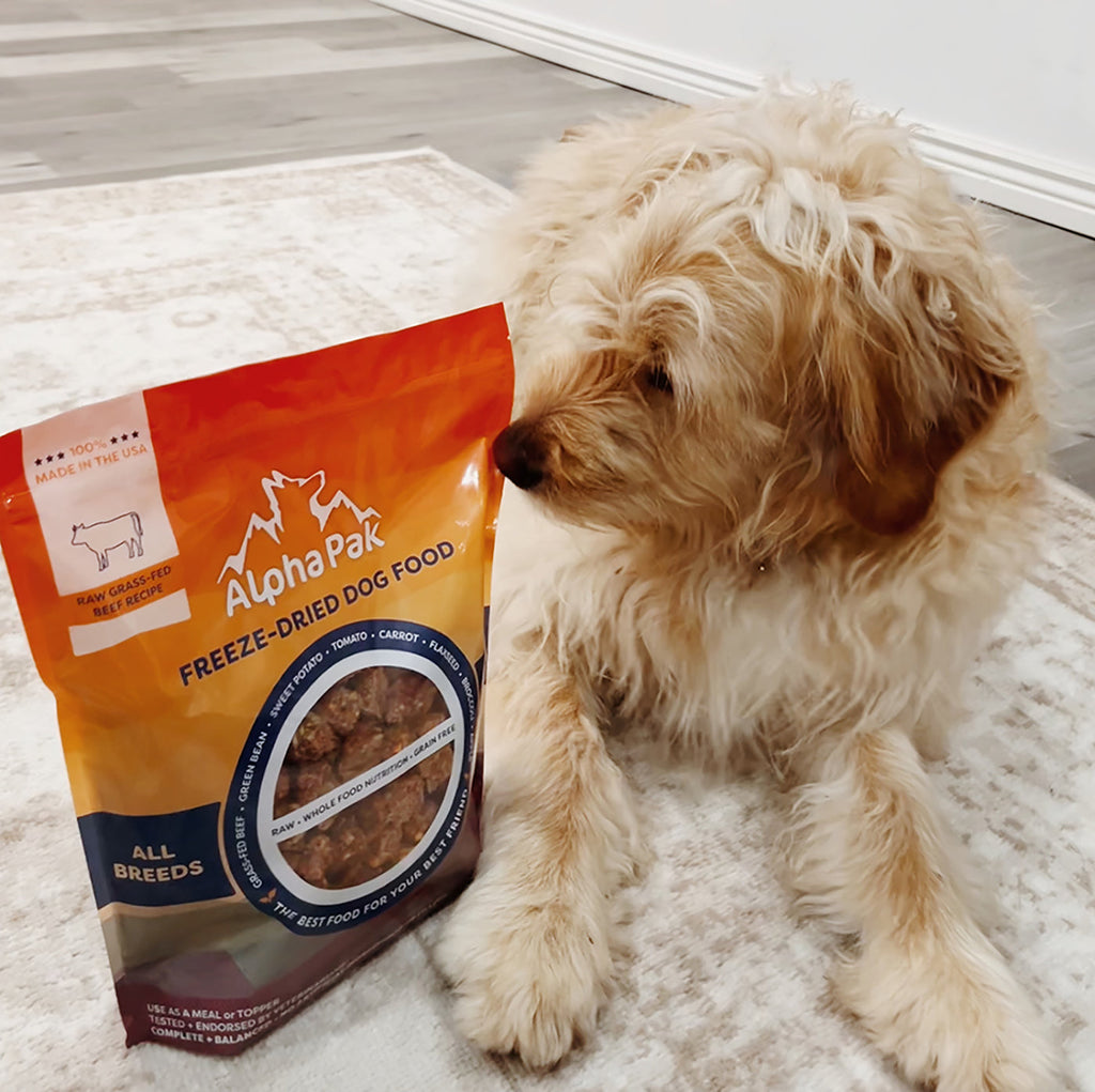 Freeze-Dried Raw Beef — Formulated for Dog Longevity