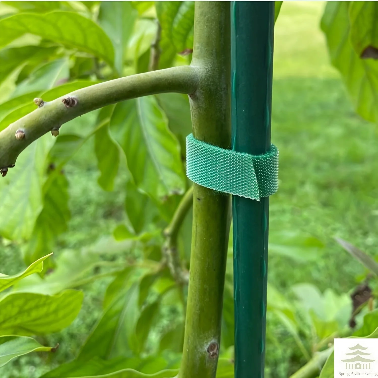 2M Nylon Plant Ties Plant Bandage Hook Tie Loop Adjustable Plant Support Reusable Fastener Tape for Home Garden Accessories